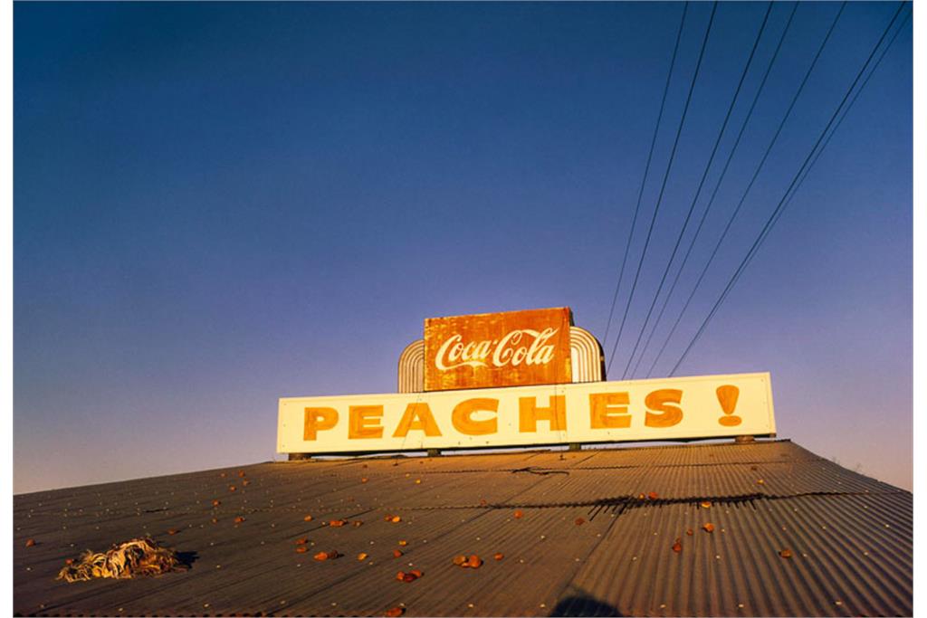 عکس‌های ویلیام اگلستون  14