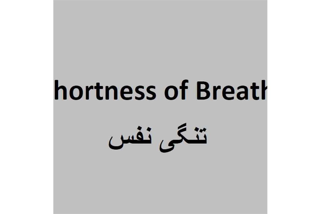 بدون تو شادترم - مجموعه عکسی از کتایون فیضی‌زاده 9