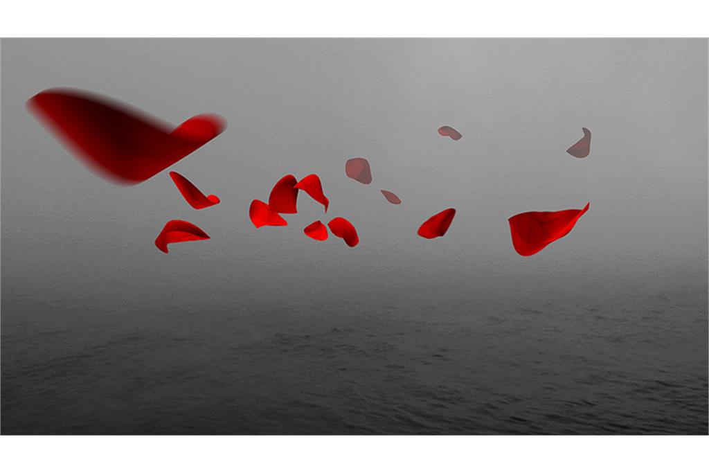 آثار سیلویا ریوا