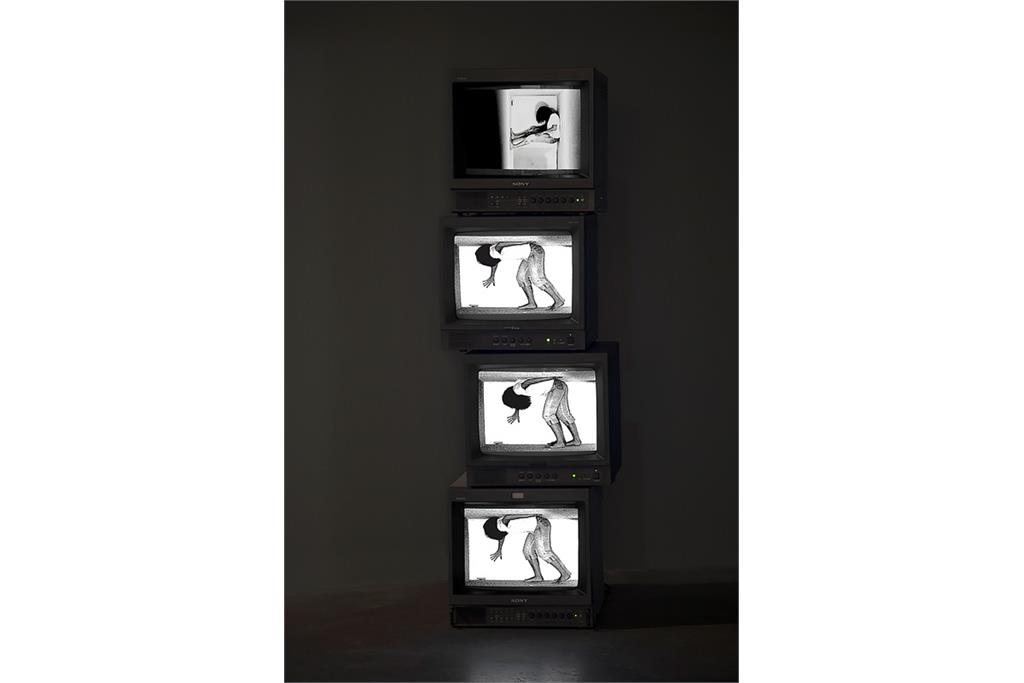 آثار سیلویا ریوا