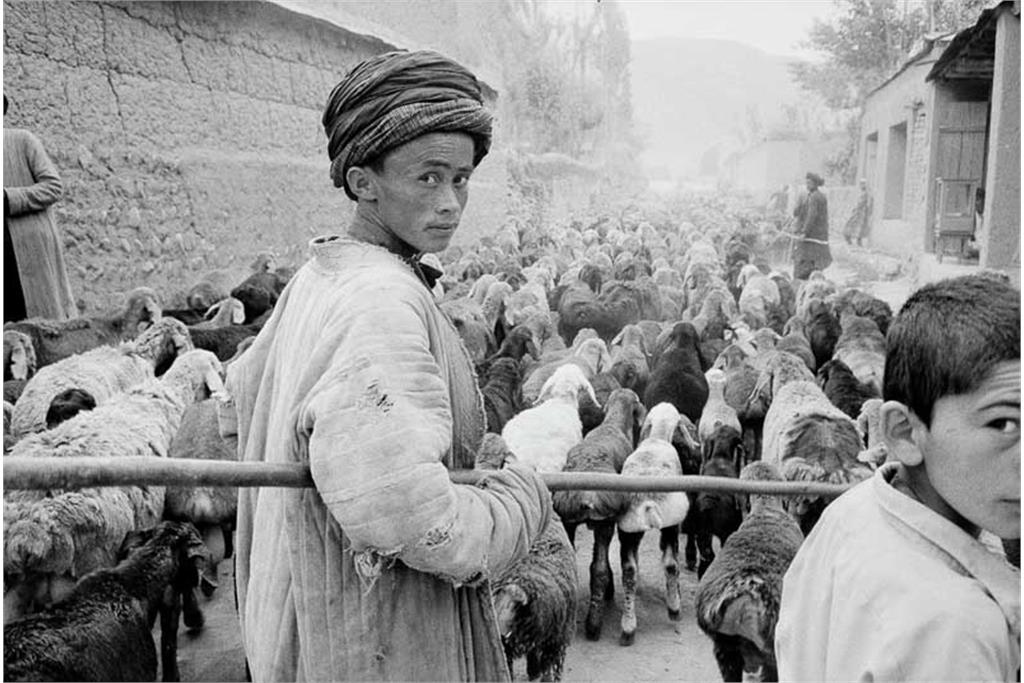 افغانستان، یک ادای احترام شخصی 9