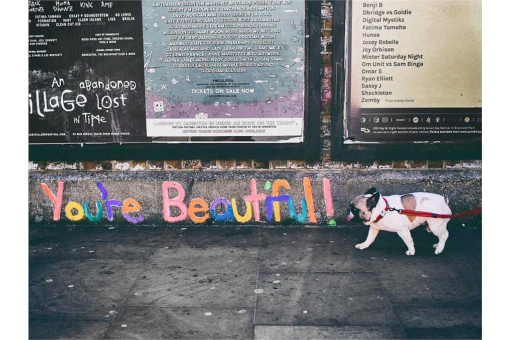 عکاس خیابانی - بخش اول 11