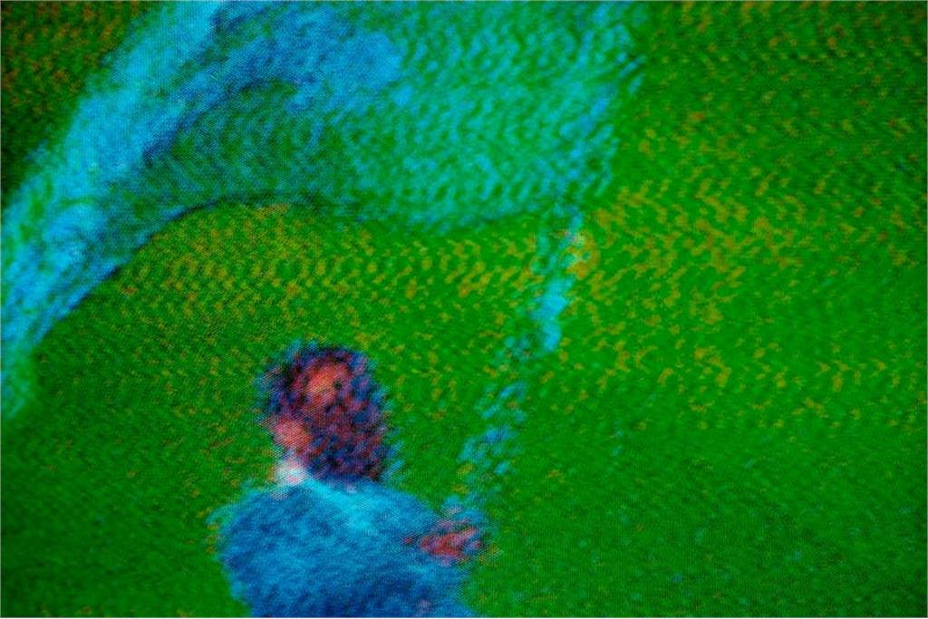 TV Shots - هری گروایارت  4