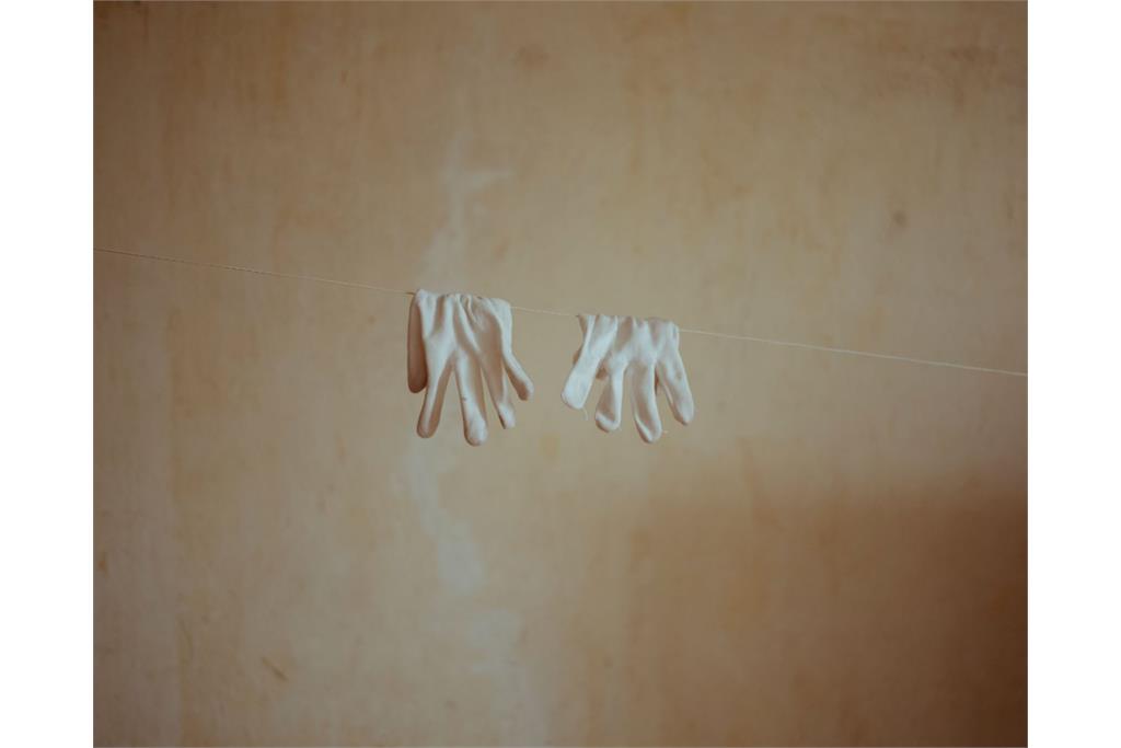 مجموعه عکس دلقک در قرنطینه نانا حایتمن 10