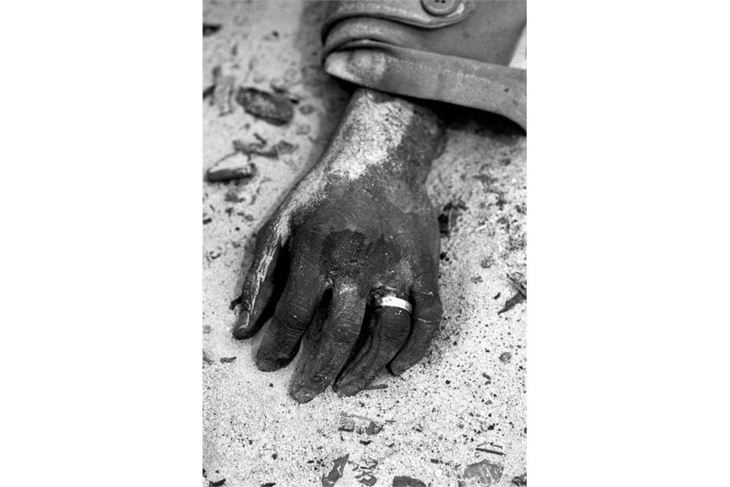 درباره  پیترترنلی