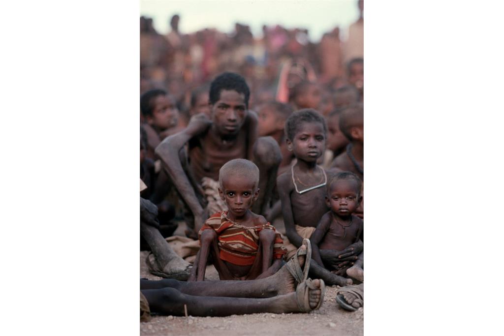 درباره  پیترترنلی