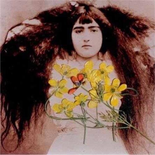 کلاس فاین آرت