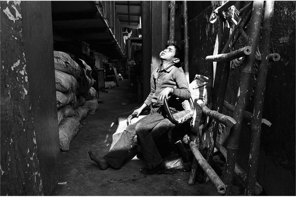 مجموعه رویای خیابان ویکی روی