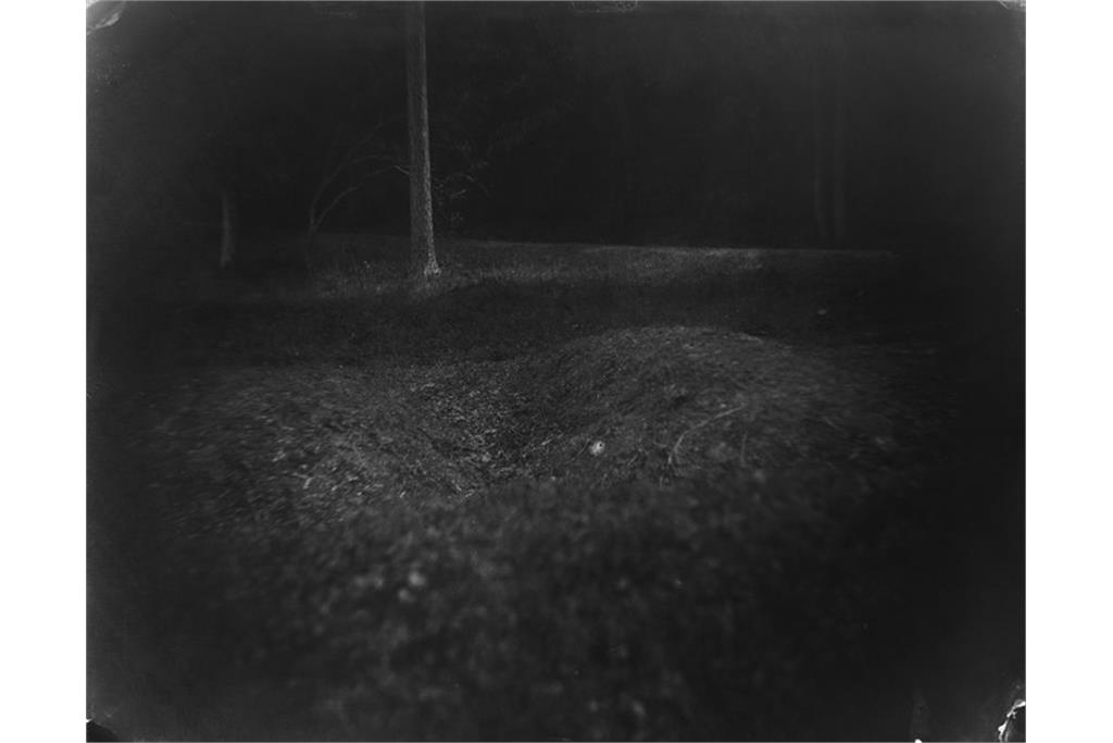 عکسی از مجموعه متفکرانه خیره شدن به جان دادن‌ او از سالی من 8