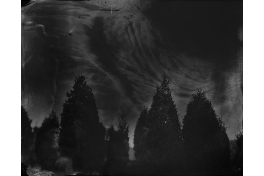 عکسی از مجموعه متفکرانه خیره شدن به جان دادن‌ او از سالی من 10