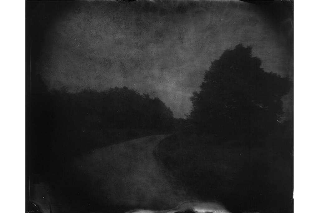 عکسی از مجموعه متفکرانه خیره شدن به جان دادن‌ او از سالی من 2