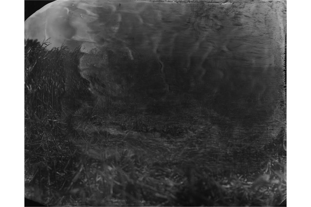 عکسی از مجموعه متفکرانه خیره شدن به جان دادن‌ او از سالی من 5