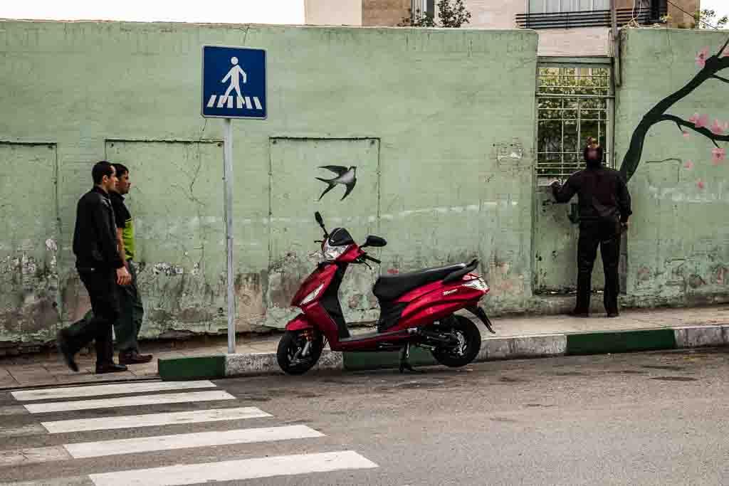 بدون تو شادترم - مجموعه عکسی از کتایون فیضی‌زاده 27