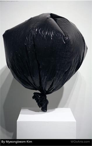 اثر میونگ بوم کیم