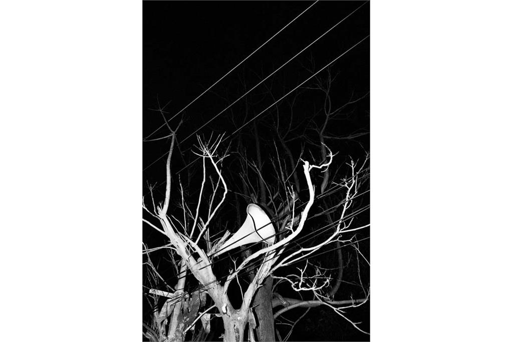 باران‌های موسمی هرگز از کوه‌ها نمی‌گذرند - کامیلو پاسکوآرلی 17