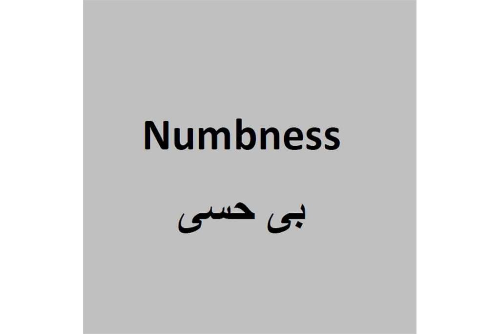 بدون تو شادترم - مجموعه عکسی از کتایون فیضی‌زاده 17