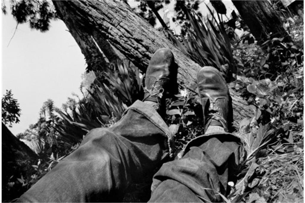 مجموعه تبعیدشدگان کودلکا 9