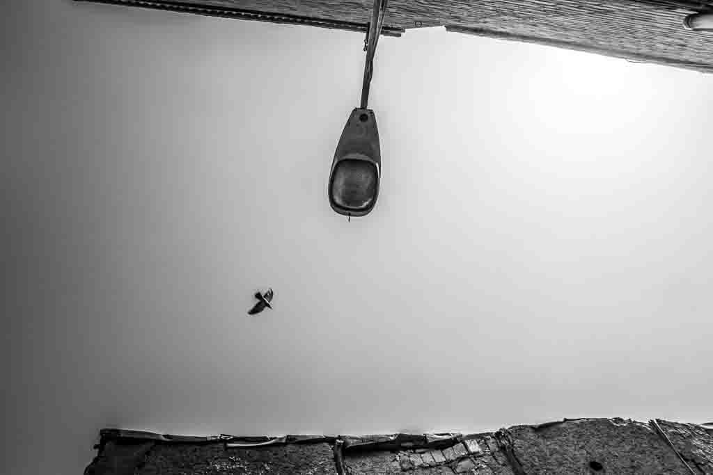 از مجموعه عکس پامناری دیگر اثر معصومه شصتی 11