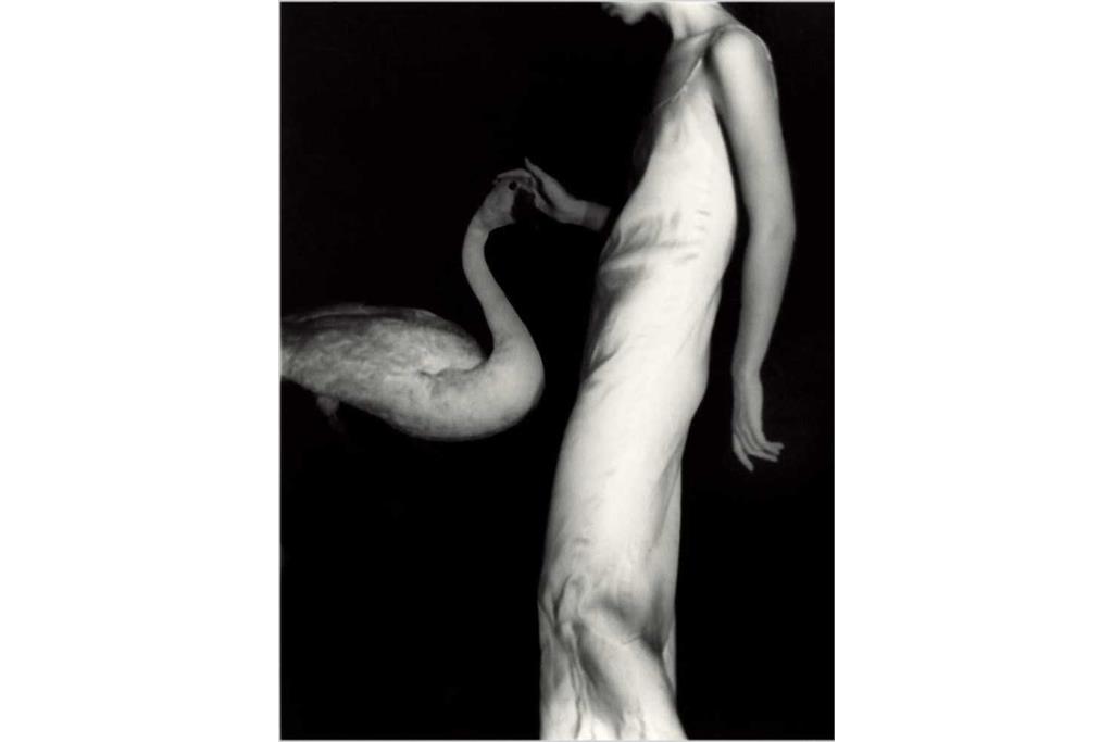 سلف پرتره‌های فرانچسکا وودمن 14