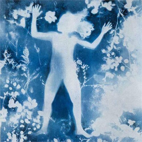 کلاس Photo-Based Art