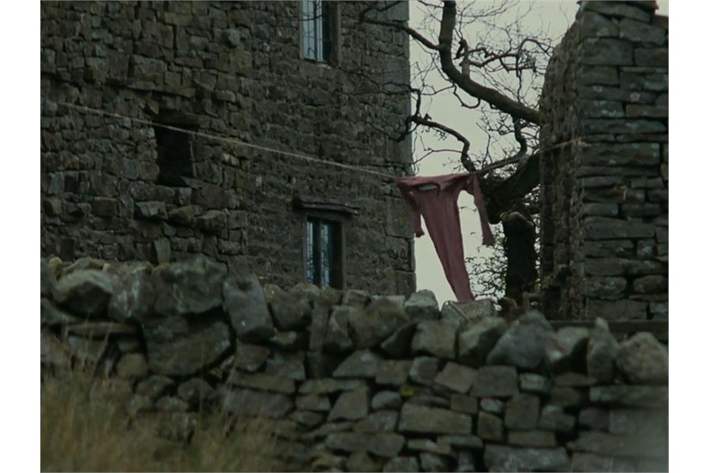 فیلم بلندیهای بادگیر