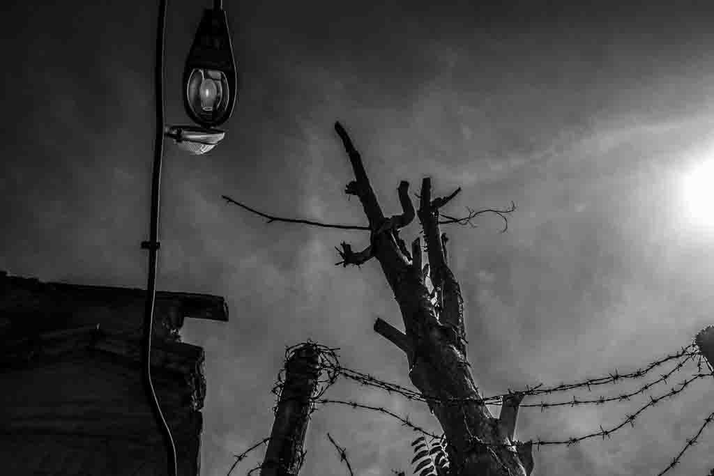 از مجموعه عکس پامناری دیگر اثر معصومه شصتی 7