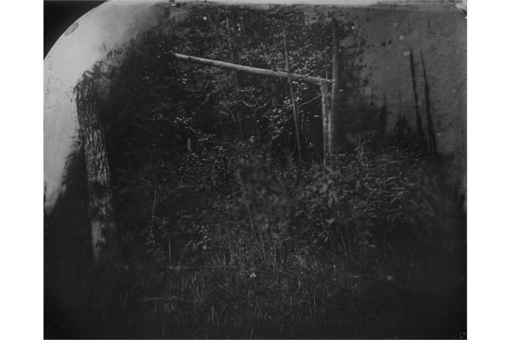 عکسی از مجموعه متفکرانه خیره شدن به جان دادن‌ او از سالی من 12