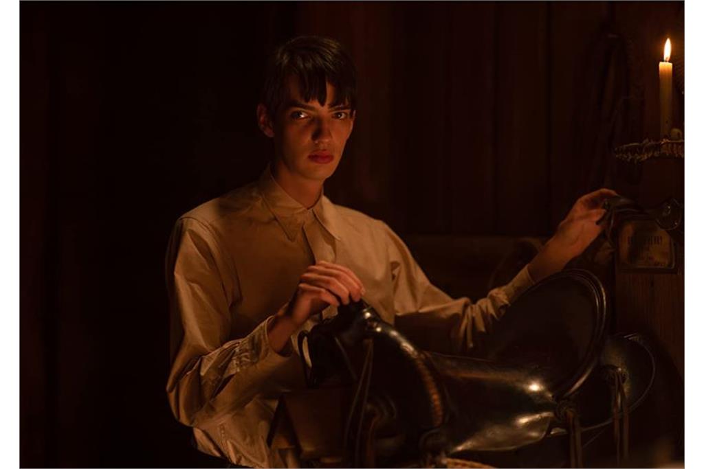 فیلم قدرت سگ 4