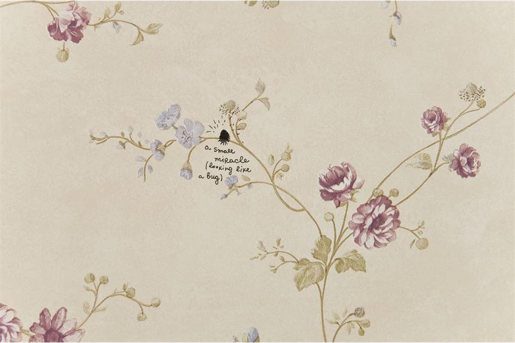 ندکو سولاکوف 11