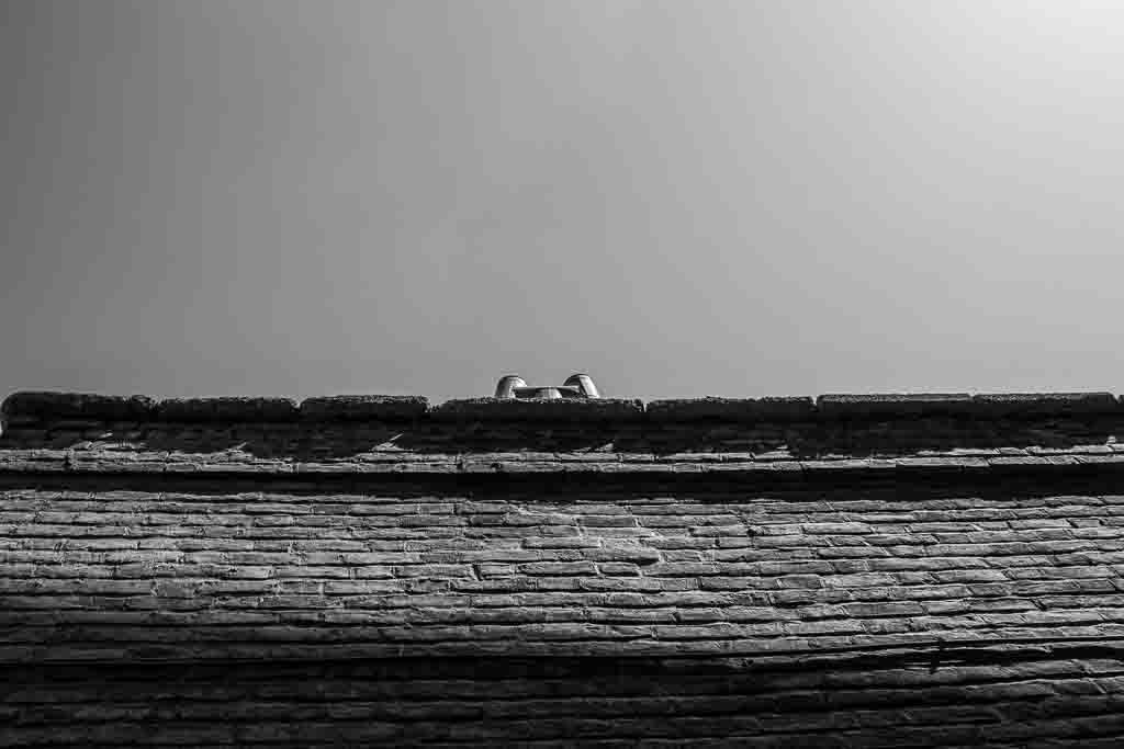 از مجموعه عکس پامناری دیگر اثر معصومه شصتی 9