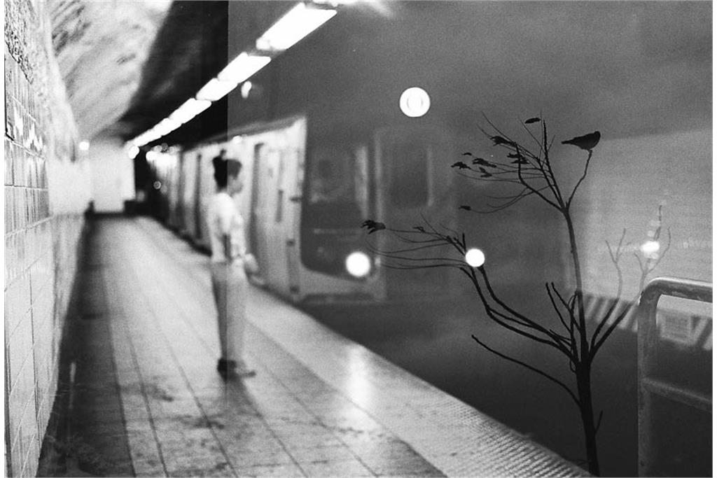 مناظر رویایی بین استانبول و نیویورک 13