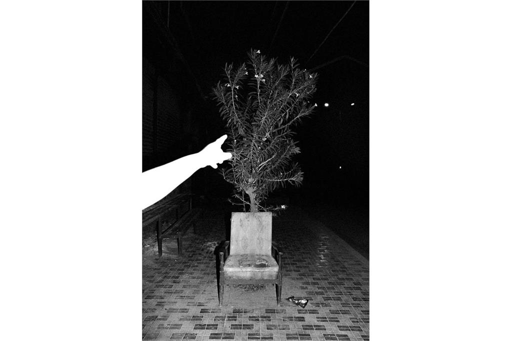 باران‌های موسمی هرگز از کوه‌ها نمی‌گذرند - کامیلو پاسکوآرلی 1