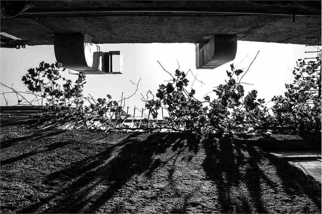 از مجموعه عکس پامناری دیگر اثر معصومه شصتی 15