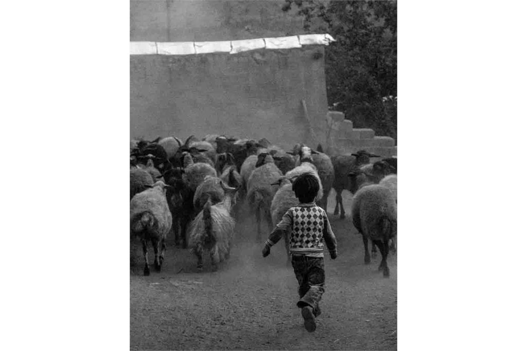 از مجموعه عکس بهشت کودکی من اثر شایسته محمدی 14