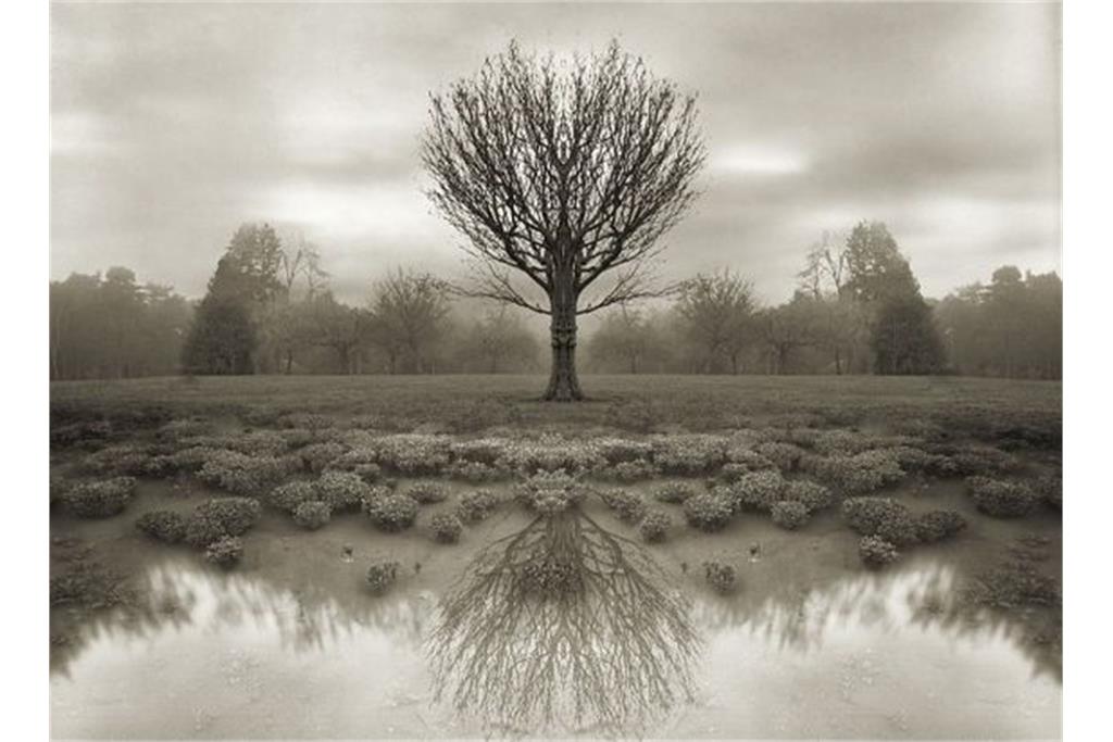 پیکتوریالیسم - قسمت اول 4