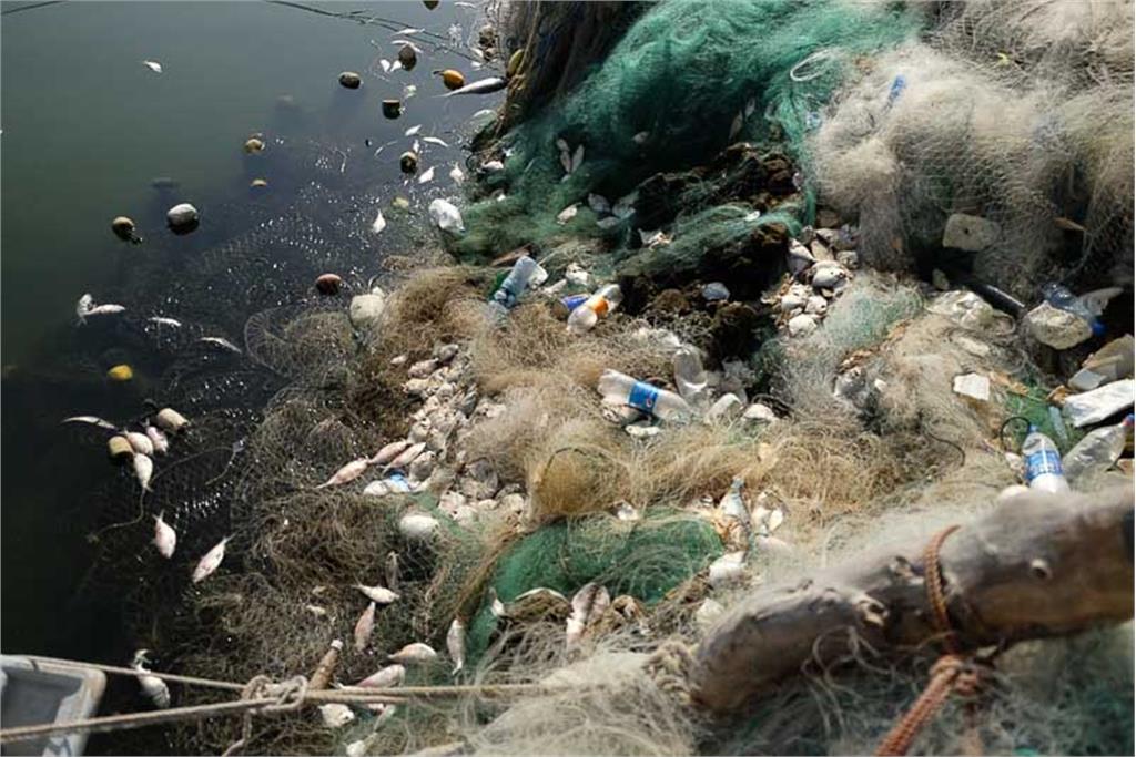 در گذار نزدیک - مجموعه عکس آزاده اکبری 3