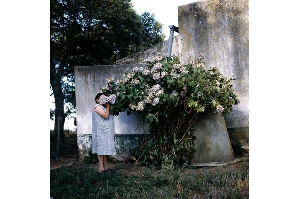 از مجموعه عکس  بلیندا و گیل اثر الساندرا سانگوئینتی 8