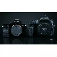 Mirrorless vs DSLR Cameras