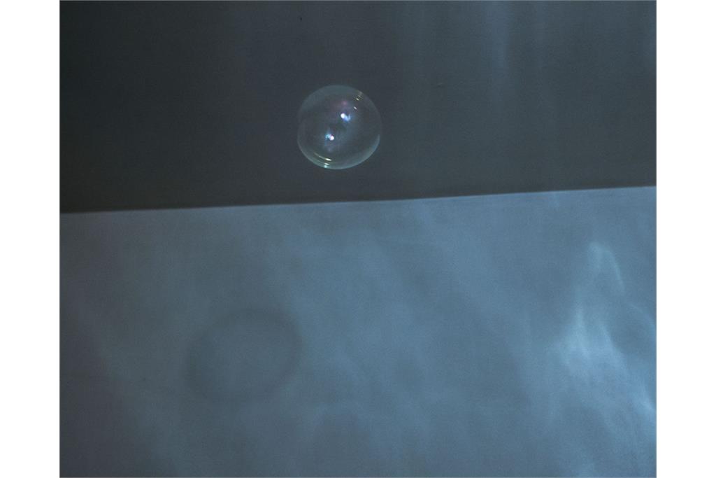 مجموعه عکس دلقک در قرنطینه نانا حایتمن 9