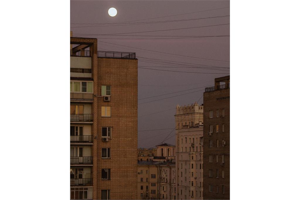 مجموعه عکس دلقک در قرنطینه نانا حایتمن 7