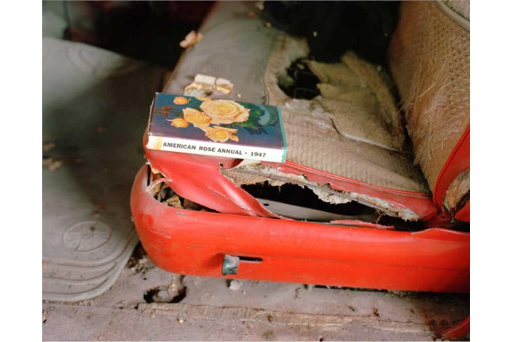 عکس‌های سوزان ورشام از جنوب آمریکا 6