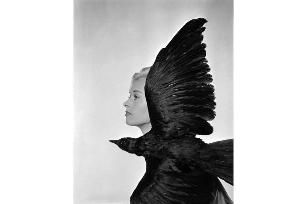 پرتره‌های هیچکاکی فلیپ هالسمن 3