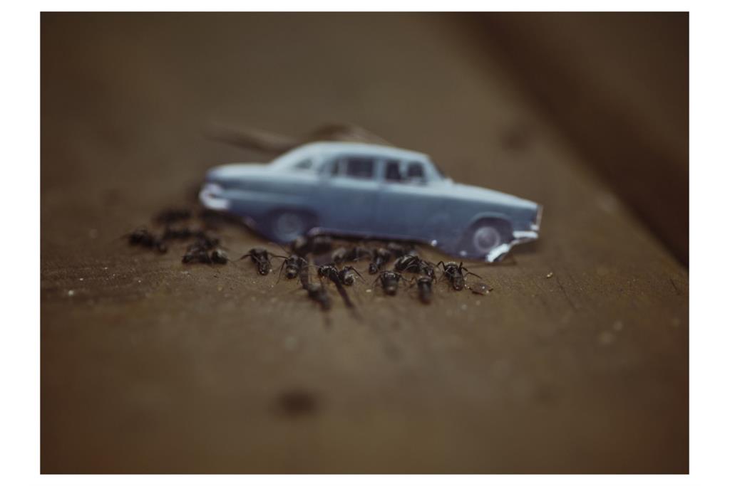 Boa Noite Povo - Cristina de Middel