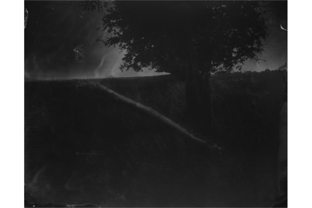 عکسی از مجموعه متفکرانه خیره شدن به جان دادن‌ او از سالی من 6