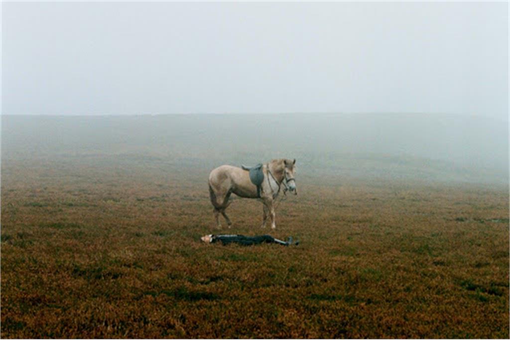 فیلم بلندیهای بادگیر