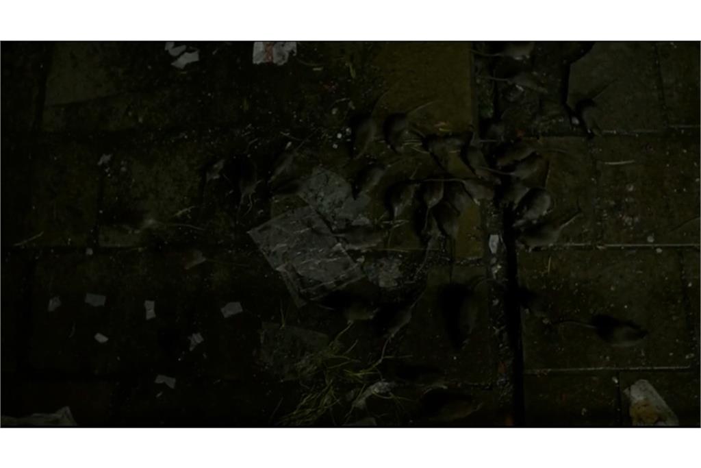 سکانسی از فیلم بونسله 3