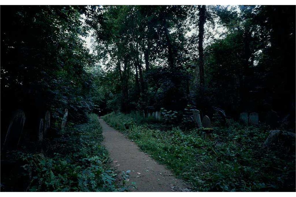 Film Stills, 2017–18 _ Mitra Tabrizian 10