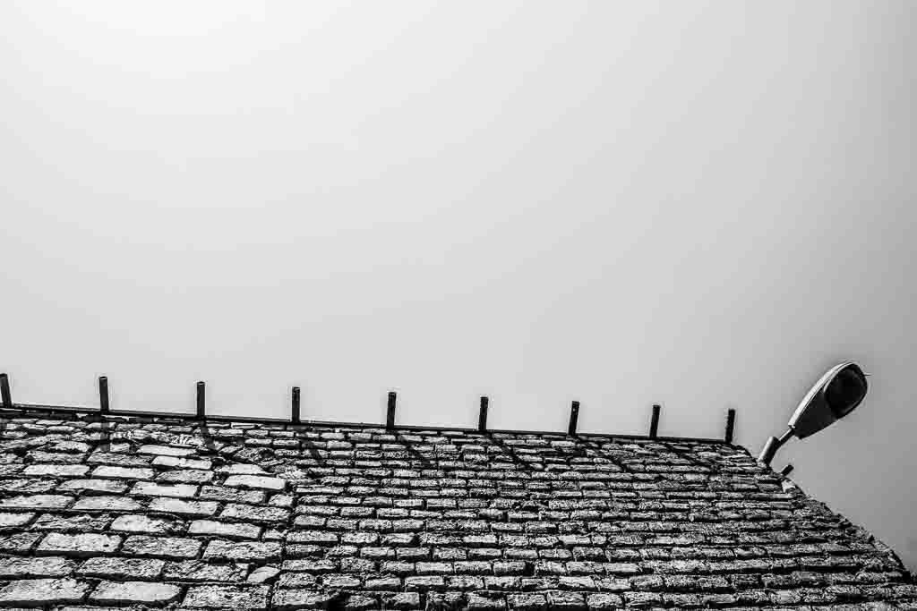 از مجموعه عکس پامناری دیگر اثر معصومه شصتی 10