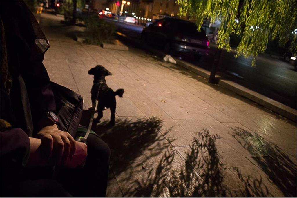 مجموعه عکسی از هستی حاجی‌ابوالحسن 15