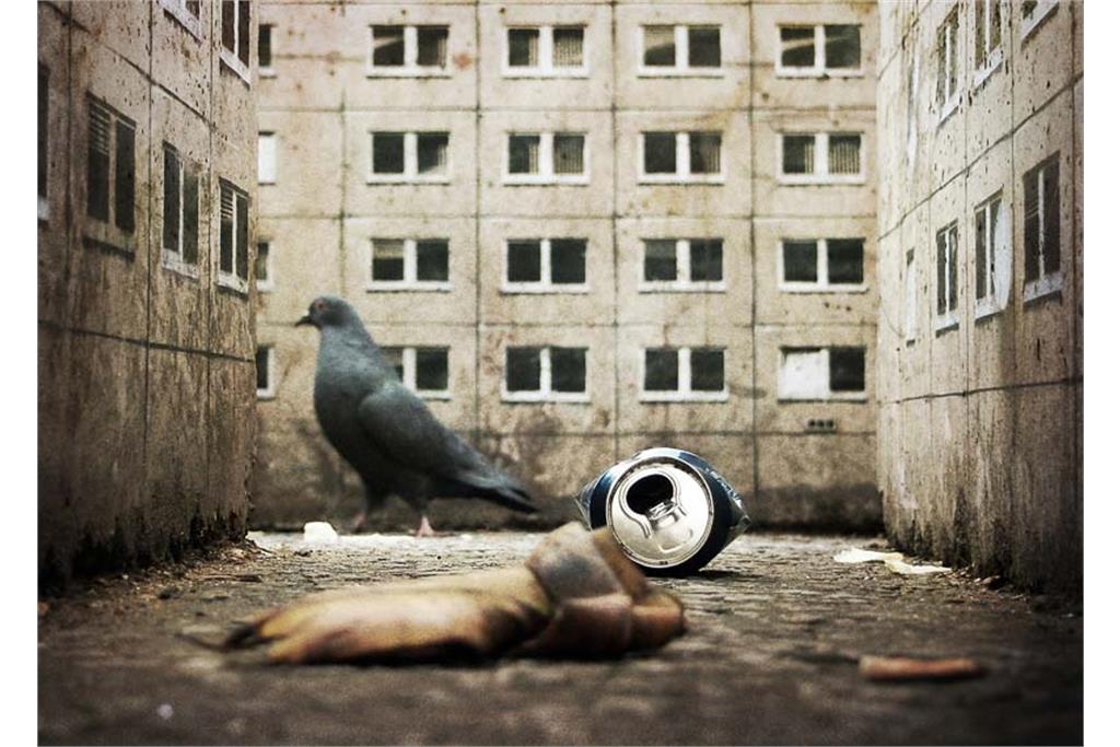 عکاس خیابانی - بخش اول 8